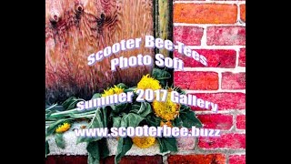 Scooter Bee Tees Photo Pro Soft: 2017 Summer Gallery screenshot 5