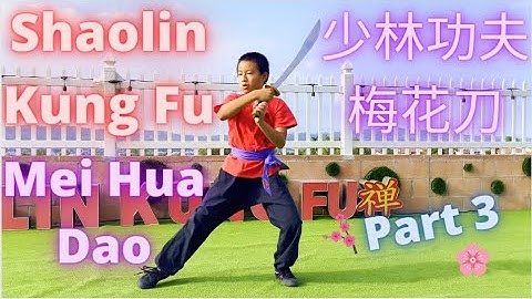 ► Shaolin Kung Fu - Mei Hua Dao 🔪 #梅花刀 #少林功夫 #少林梅花刀 🔥 #少林單刀 #大刀 #功夫教學 示範 教學 Training Tutorial Part 3