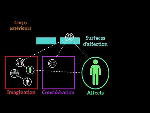 Vidéo: À l'effet ou à l'affect ?