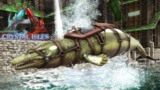 Live 11 Ark ワイバーン色 ステ厳選 Pc版 Ark Survival Evolved公式pve 月冬 月冬