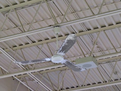 Sighting Multiples Canarm Cp56 140 Cm Industrial Ceiling Fans You - Canarm Industrial Ceiling Fans Sighting Multiples Canarm Cp56 140 Cm Industrial Ceiling Fans You - Canarm Industrial Ceiling Fans
