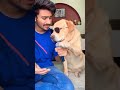 Singing dog shorts  anant rastogi