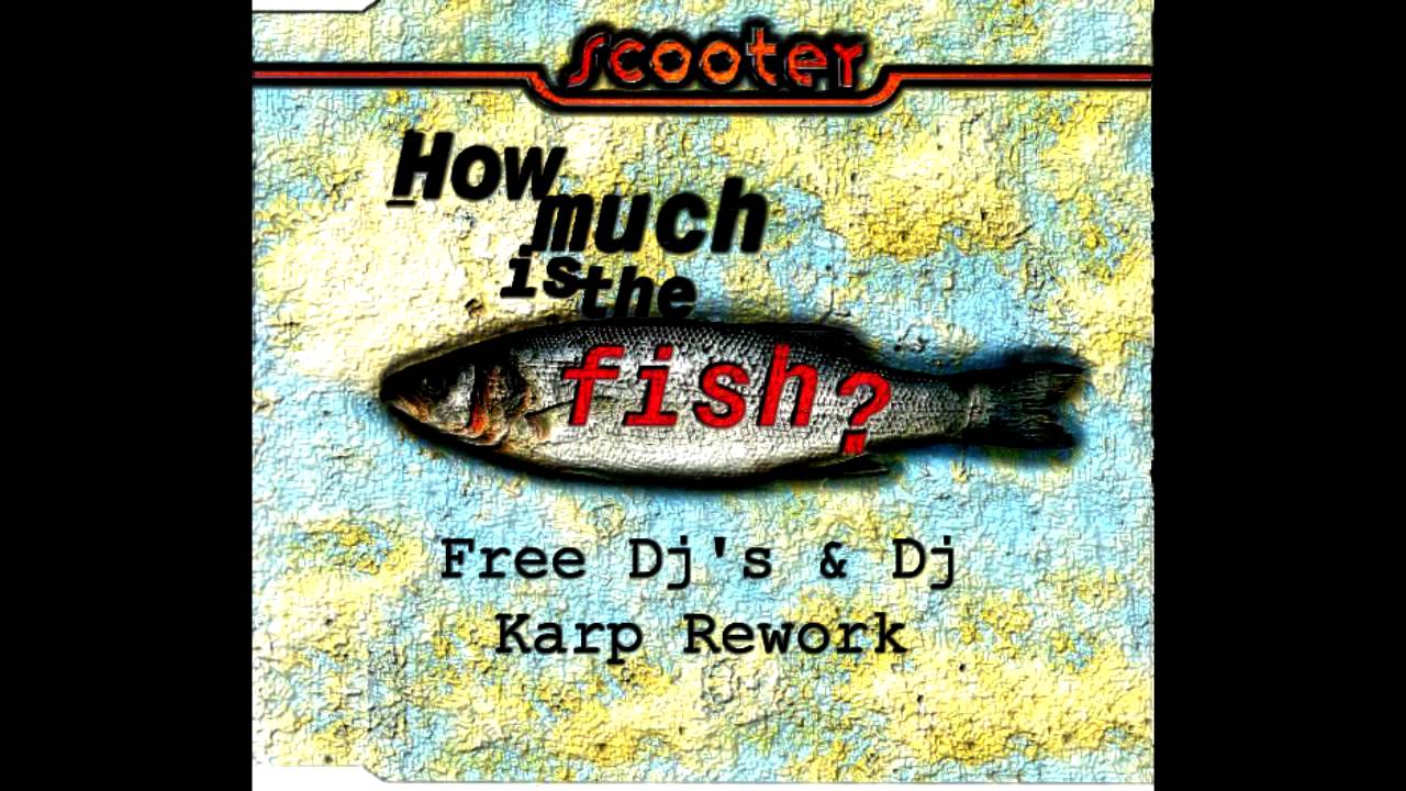 Скутер more more more. Scooter how much. How much is the Fish обложка. Scooter how much is the Fish обложка. Scooter - how much is the Fish (Divius Remix).