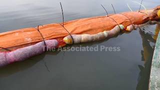 How human hair is helping to mop up oil spills in Brazil