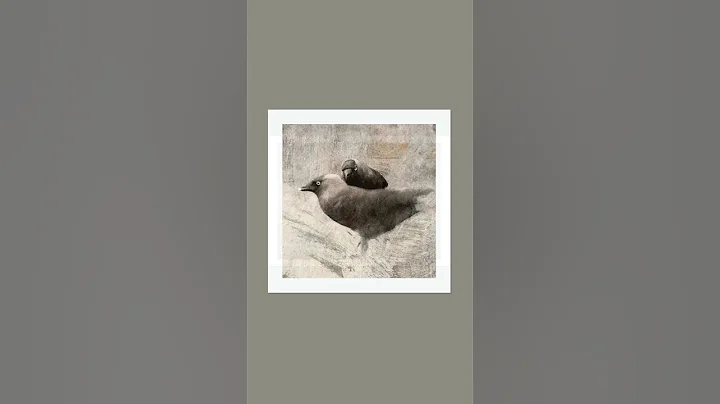 Vicki O'Donnell Fine Art Print Collection | Fierce...