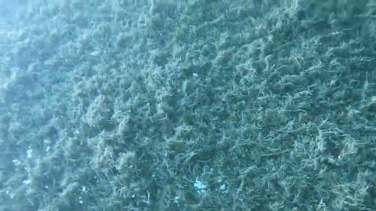 The Importance Of Maintenance Contracts For Recreation Barriers