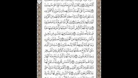 سورة يس الشيخ رضوان بزازة