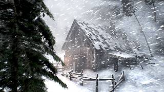 Heavy Blizzard & Wind Sounds for Deep Sleep at the Bus | Bus Snowstorm White Noise Sleep Ambience