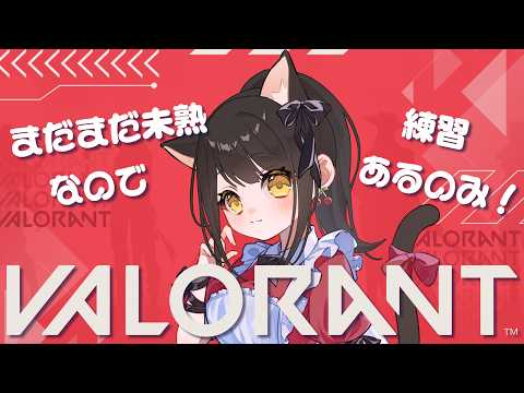 【#valorant  】どうやらなんか変わったらしい【キナプロ/逢乃エリィ】