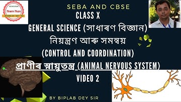 CLASS X সাধাৰণ বিজ্ঞান (নিয়ন্ত্ৰণ আৰু সমন্বয় ) VIDEO 2 /প্ৰাণীৰ স্নায়ুতন্ত্র /CONTROL & COORDINATION