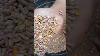 Quality maintenance feeds