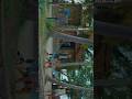 Kumbalagi Nights вќ пёЏ Kumbalaginights Soubin Reelit Shortsfeed Kumbalagi Nights вќ пёЏ Kumbalaginights Soubin Reelit Shortsfeed
