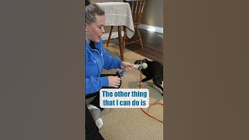 Using A Toy In Puppy Biting Training