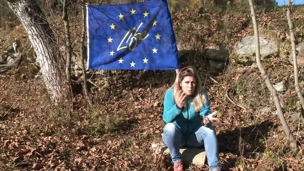 Il lupo è davvero pericoloso per l'uomo? YouTube Il lupo è davvero pericoloso per l'uomo? YouTube