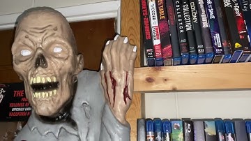 Shelf to Shelf Horror Movie Collection Wall 2 Shelf 4