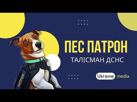 Пес Патрон уснул во время брифинга