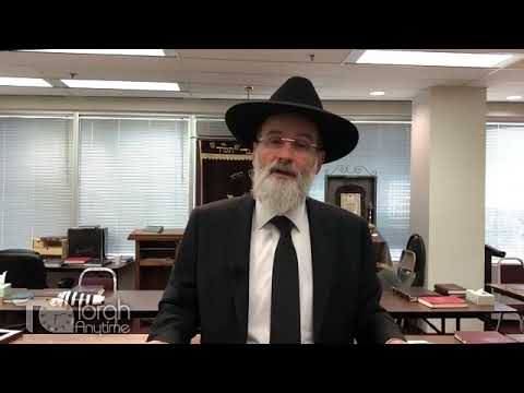 Rabbi Dovid Hofstedter- Preparing for Pesach Part 3