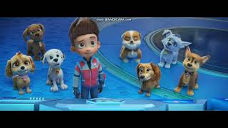 Centuries - Paw Patrol