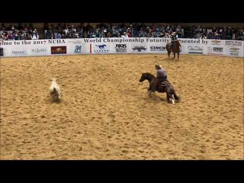 Austin Shepard — Dual Reyish 2017 NCHA Futurity Champion