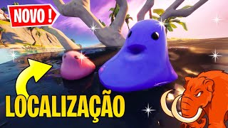 SINALIZE OS CORALINOS *FUNCIONANDO* SINALIZE OS CORALINOS *FUNCIONANDO*