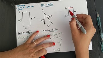 Forming equations with perimeter