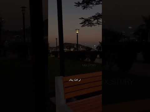 وبينا معاد عمرو دياب