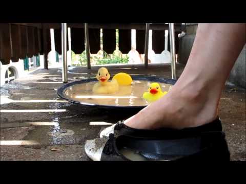 trampling rubber ducks with flats in the mud