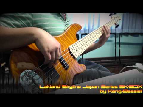 【美品】LAKLAND skyline japan Series SK-5DX Anton Davidyants - Lakland SK-5DX Skyline Japan Series 2011