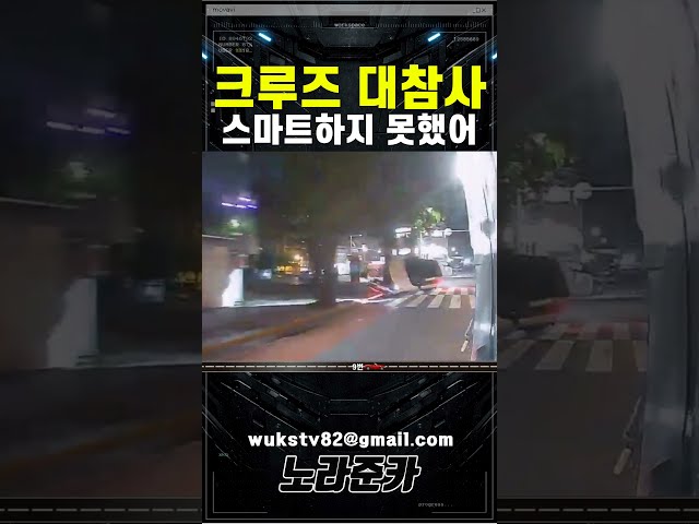 스마트크루즈 대참사 #교통사고블랙박스영상