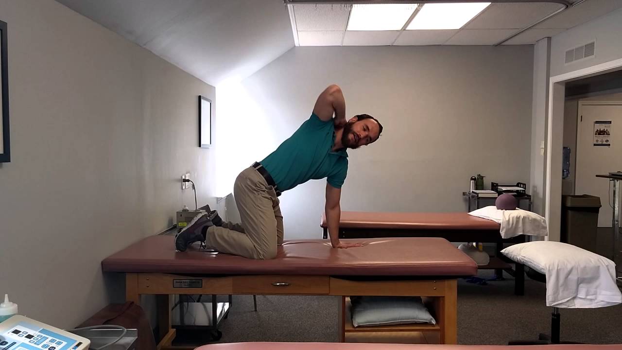 Mid Back Pain Treatment Chad Shafer Physical Therapy Metro Detroit