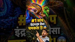 🌈 #1 Snake की चमक देखकर आंखें खुली रह जाएंगी! 🤯 #shortsfeed #shorts