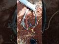 Safe underground wiring: Armoured cable installed using PVC conduitfor protection.#electrical #work