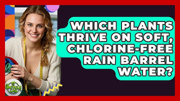 Which Plants Thrive On Soft, Chlorine-Free Rain Barrel Water? - The Upcycle Lab