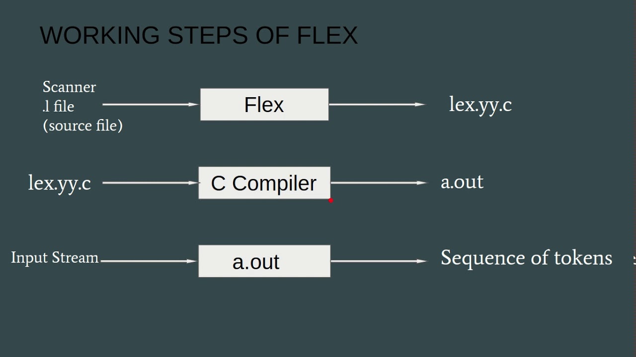 essay about flex program