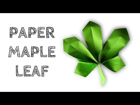 Wideo: Jak Zrobić Papierową Małpę