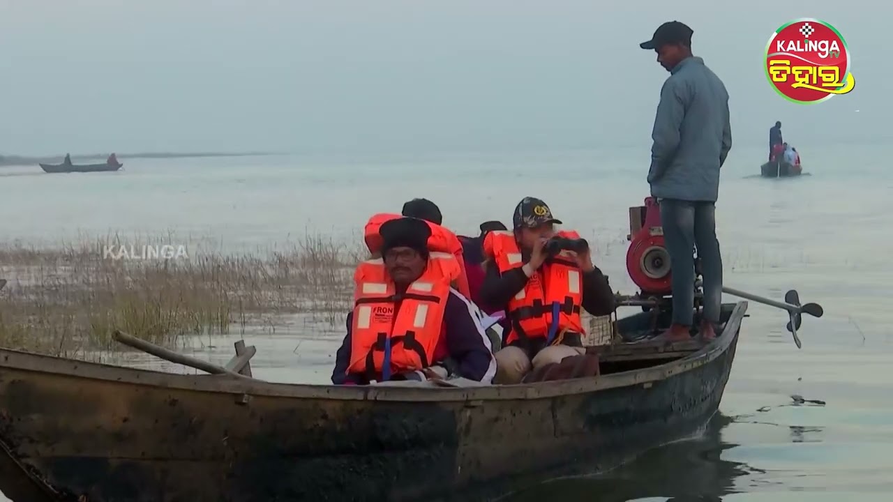 ସମ୍ବଲପୁରନେ ଜୋରସୋରନେ ପକ୍ଷୀ ଗଣନା ll Kalinga Tihar