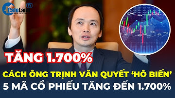 Cách cựu Chủ tịch FLC Trịnh Văn Quyết 