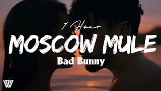1 Hour Bad Bunny - Moscow Mule Letra/Lyrics Loop 1 Hour