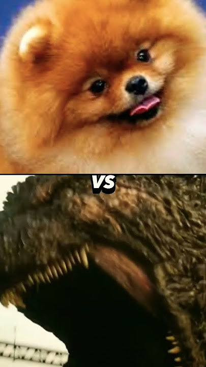 dog vs godzilla☠️ #edit #kaiju #godzilla