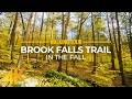 Relaxing Beauty of an Autumn Forest in 4K UHD - Fall Foliage in Connecticut - Fall Brook Falls Trail