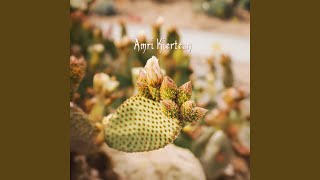 Download Lagu Nights of Fez MP3