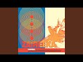 The Flaming Lips - Zaireeka