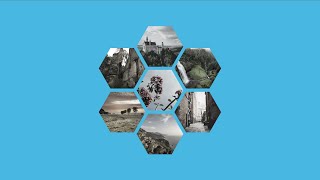 How To Make Honeycomb Image Gallery Using HTML CSS | CSS Tutorial