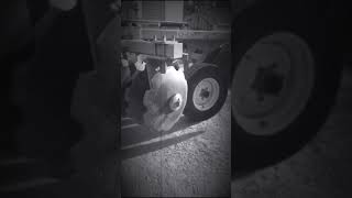 Happy First Year To My Rojo285Mf