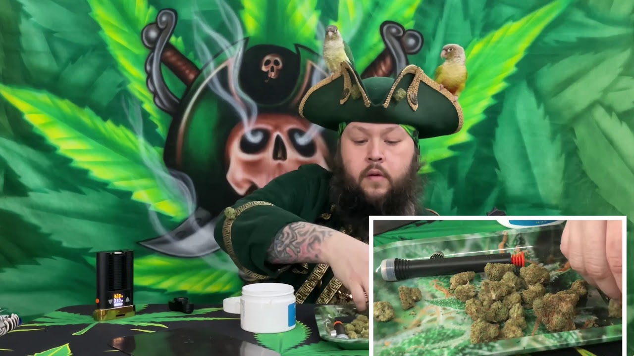 Bio Jesus by Cresco Labs