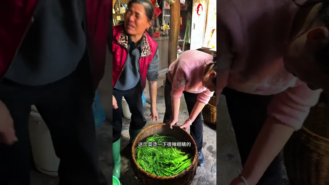 #A true record of my rural life#Creator Center#The weather is nice today and I harvested t