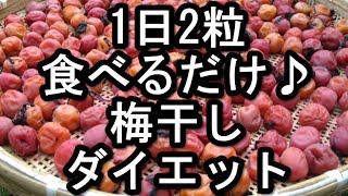 寝る前梅干しダイエット 食べる時間を守るだけで太りにくくなる方法