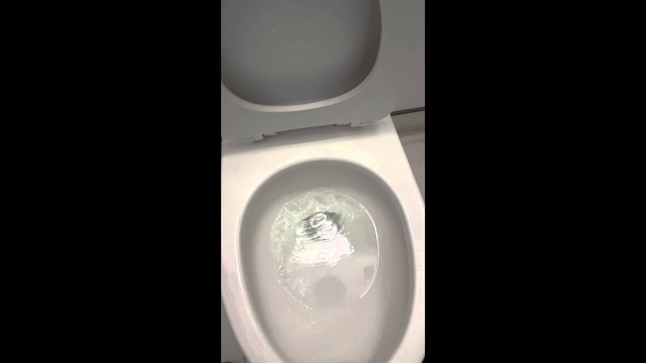 Wall Hung Eljer Flushometer Toilet YouTube