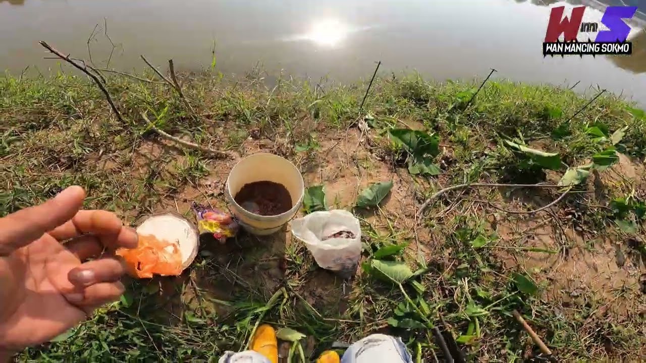 Umpan sawit memang terbaik | mancing saat air surut #wms-396