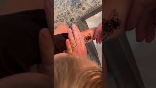 When Unboxing A Tarantula Goes Wrong - A. Geniculata Female
